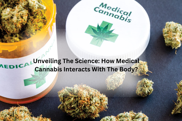 Unveiling The Science: How Medical Cannabis Interacts With The Body?