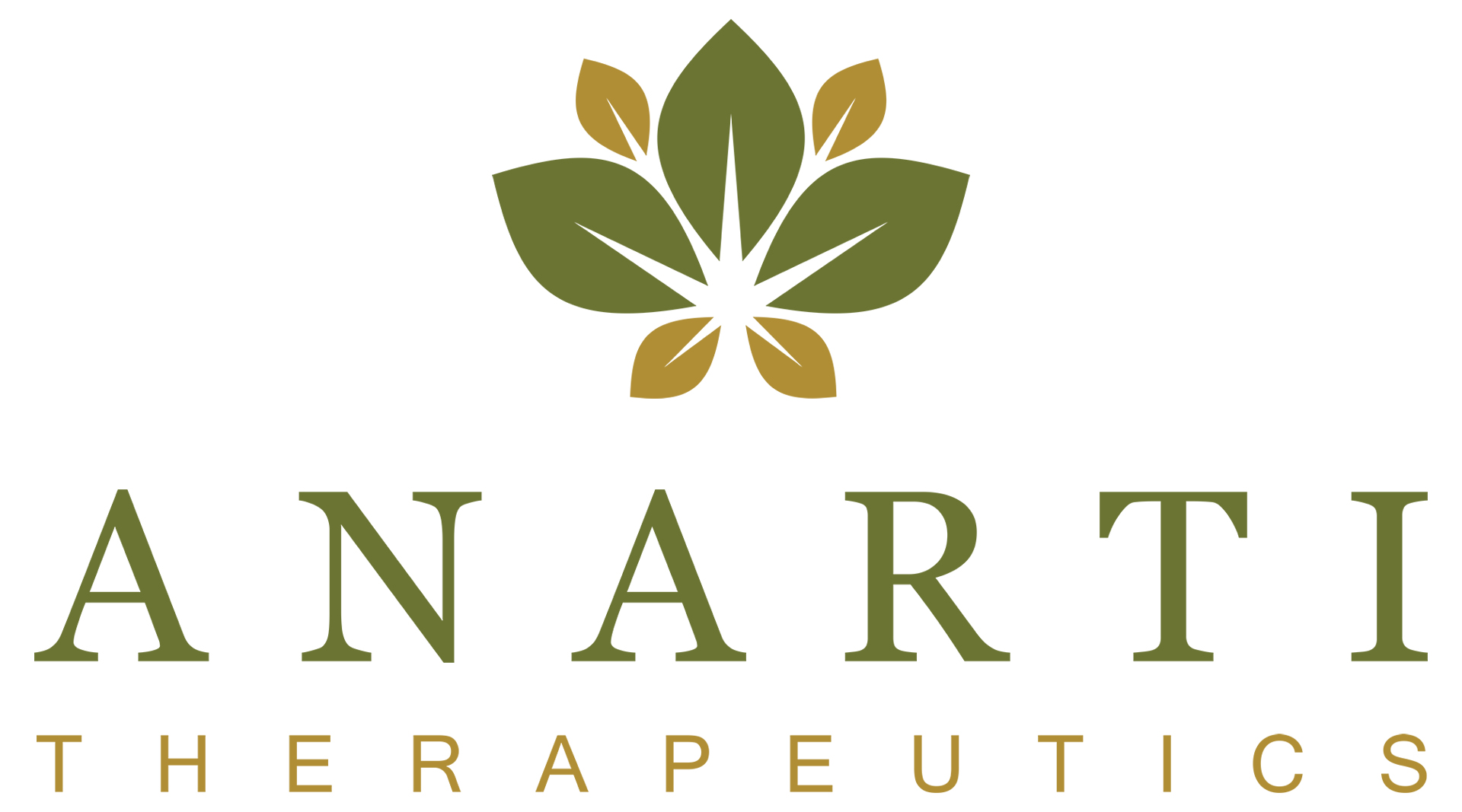 Store Banner