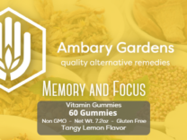 Memory and Focus Vitamin Gummies