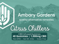 Citrus Chillers CBD Gummies  – 1,000mg