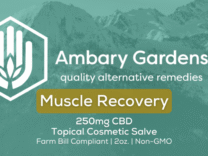 Muscle Recovery – 2oz
