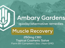 CBD Product Samples – Muscle Recovery