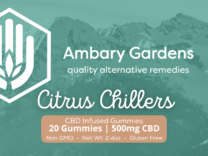 Citrus Chillers CBD Gummies – 500mg