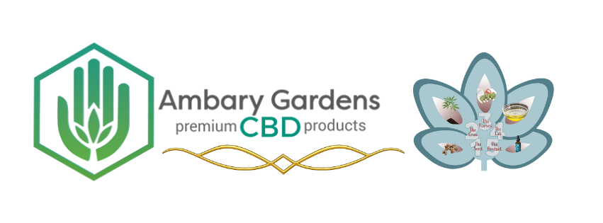 Store Banner