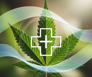 Medical Cannabis for Chronic Pain: Evidence-Based Relief Strategies and Strain Selection Guide