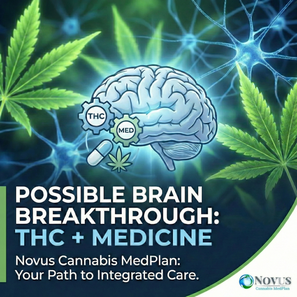 Brain THC and Alzheimers