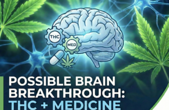 Brain THC and Alzheimers