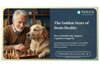 Cognative and cannabis