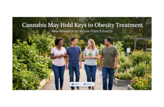 Why Whole-Plant Cannabis May Hold Keys to Obesity Treatment